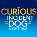 Book Tickets For Curious Incident of the Dog in the Night Time performing at the Gielgud theatre